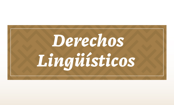 Ley General de Derechos Lingüísticos de los Pueblos Indígenas