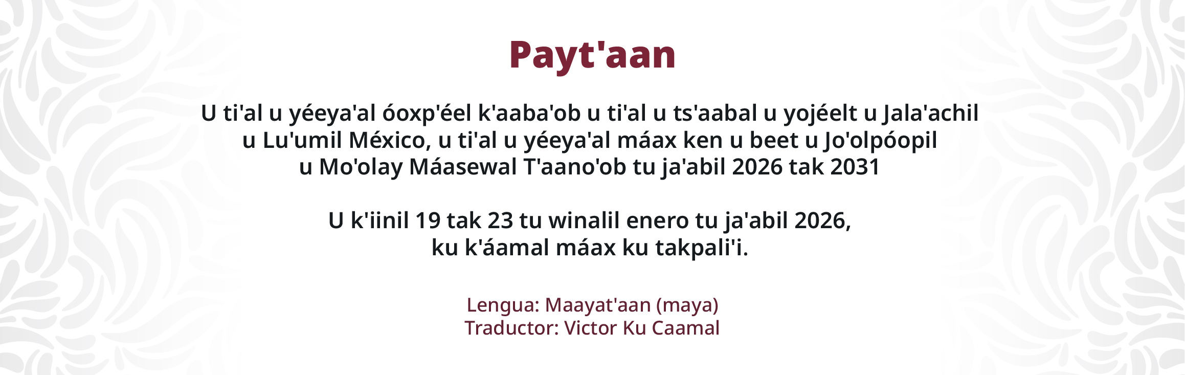 Convocatoria Terna Dirección General